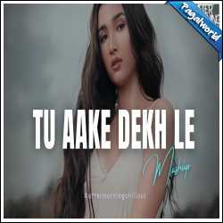Tu Aake Dekh Le Remix