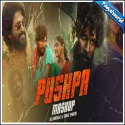 Pushpa Mashup 2022 - DJ Harshal, Sunix Thakor