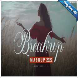 Breakup Mashup 2022 - Emotional Chillout - BICKY