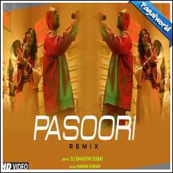 Pasoori (Remix) DJ Shadow Dubai