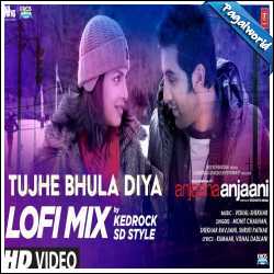 Tujhe Bhula Diya (LoFi Mix) Kedrock, SD Style