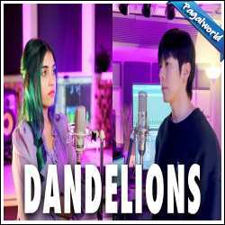 Dandelions - Cover