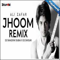 Jhoom (Remix) DJ Shadow Dubai x DJ Shouki