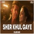 Sher Khul Gaye Remix - DJ Ravish, DJ Chico