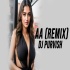 Aa Remix - DJ Purvish
