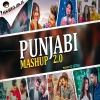 Punjabi Mashup 2 - Dj Hitesh 2021