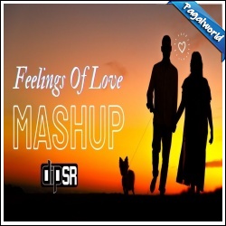 Feelings Of Love Mashup - Dip SR x Jakaria