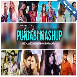 Feeling Punjabi Mashup 2021 - Neojazz, Naresh Parmar