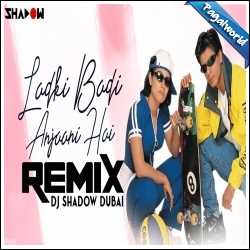 Ladki Badi Anjaani Hai Remix - DJ Shadow Dubai