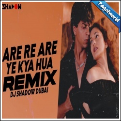 Are Are Ye Kya Hua Remix DJ Shadow Dubai