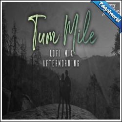 Tum Mile (Lofi Mix) Aftermorning