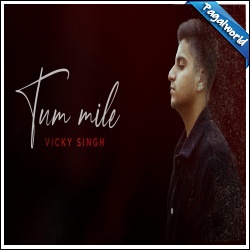 Tum Mile (Unplugged Cover)