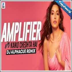 Amplifier vs Kaiko Chedhta Hai Remix - DJ Alphacue
