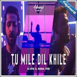 Tu Mile Dil Khile (Remix)
